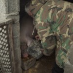 K Pejići su se nastavili baviti i svinjogojstvom