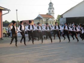 Koncert za Slobodana Savića u Kruškovom polju (1)