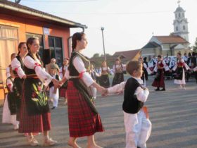 Koncert za Slobodana Savića u Kruškovom polju (2)