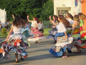 Koncert za Slobodana Savića u Kruškovom polju (3)