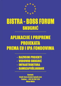 boss-forum-v-15-620px-web