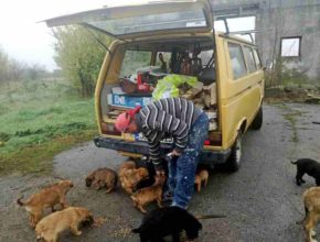 GOSPODIN BIKIĆ U POSJETI AZILU