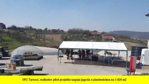 OPZ TAREVCI